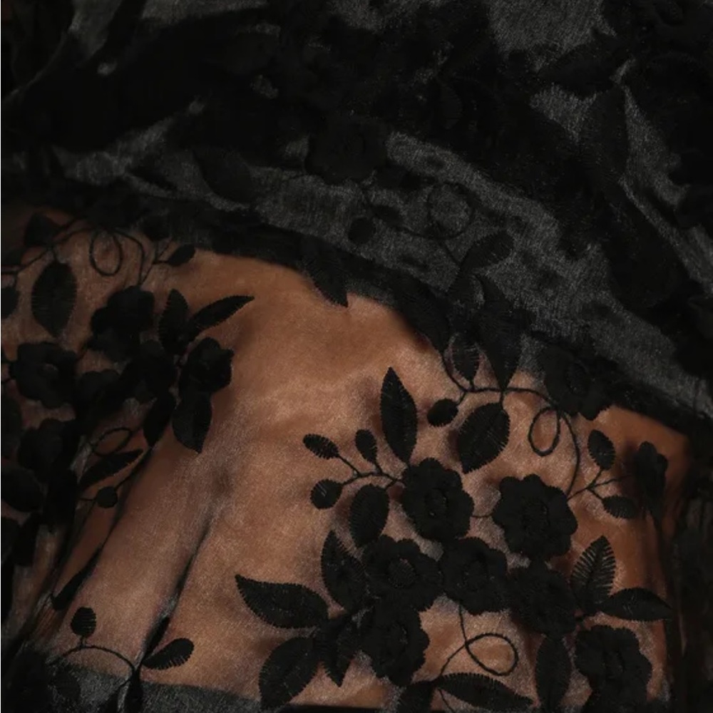 Lulus | Allure & Attraction Black Embroidered Puff Sleeve Tie-Back Sheer Blouse - Picture 4 of 5